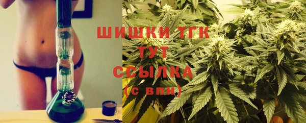 ПСИЛОЦИБИНОВЫЕ ГРИБЫ Верхний Тагил