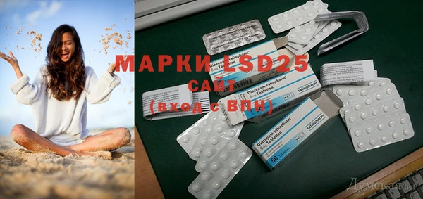 ПСИЛОЦИБИНОВЫЕ ГРИБЫ Верхний Тагил