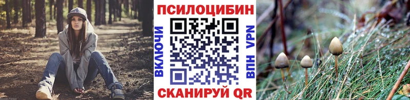 Псилоцибиновые грибы ЛСД  гидра онион  Карабулак 